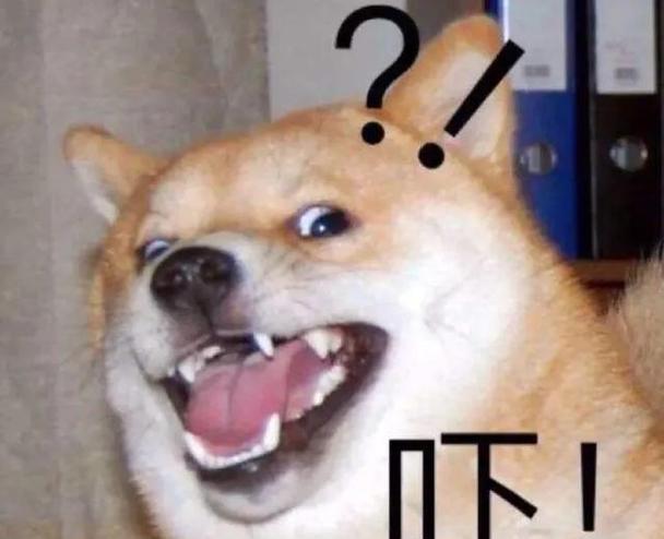 揭秘狗狗的最大恐惧！（探索狗狗内心最深处的恐惧世界）