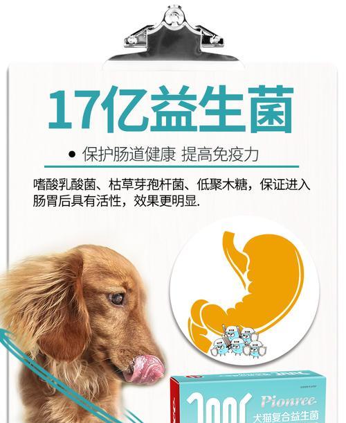 泰迪一岁了拉肚子，应该吃什么药？（了解泰迪拉肚子的原因，选择正确的药物进行治疗）