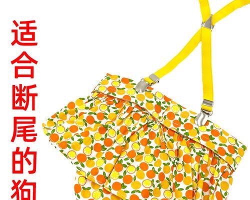 小狗生理期的注意事项（关爱宠物健康，合理管理生理期）