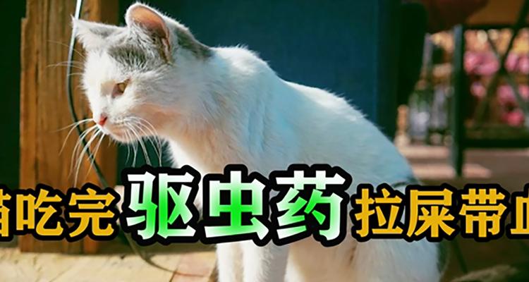 食用虫药后的症状及应对方法（了解虫药中毒症状，及时应对救助）