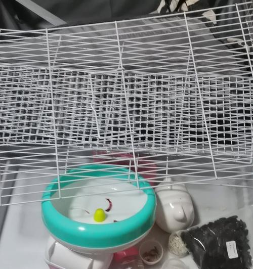 以仓鼠为主题的邮寄方式（小宠物仓鼠的邮寄需求与方式选择）
