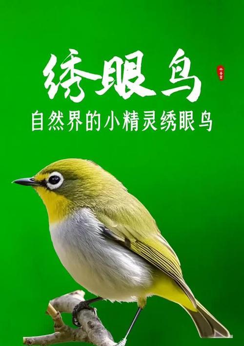 雀形鸟的主要食物及其特点（雀形鸟的食性、食物来源和适应能力）