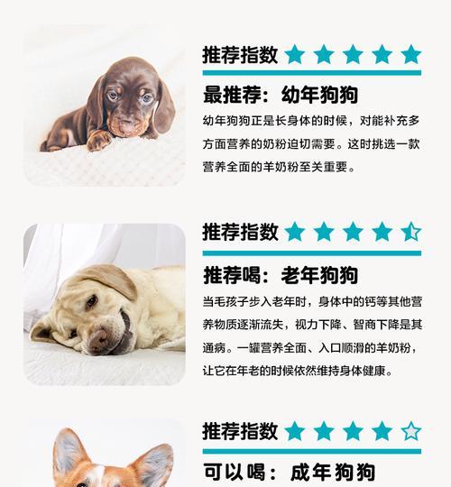 三个月大的泰迪犬适合喝奶粉吗？（探讨三个月大的泰迪犬喝奶粉的适宜时机和注意事项）
