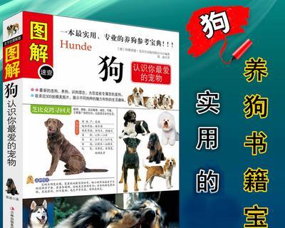 养宠物狗的危害（以养宠物狗会对家庭和个人健康造成哪些威胁）