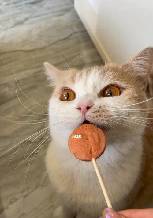 猫吃东西的奇妙表现（探秘猫咪进食的独特行为和喜好）