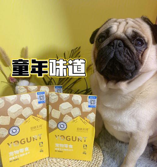 狗喝蜂蜜的功效与作用（蜂蜜对狗的健康有何益处？）