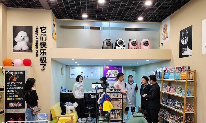 宠物店长的工作职责与经验分享（了解宠物店长工作的关键职责和成功经验）