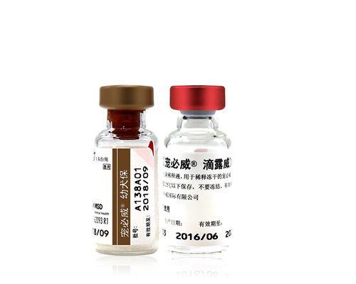 揭开神秘的狗狗6联之谜（探索狗狗6联的作用与价值，让我们更了解我们的宠物）