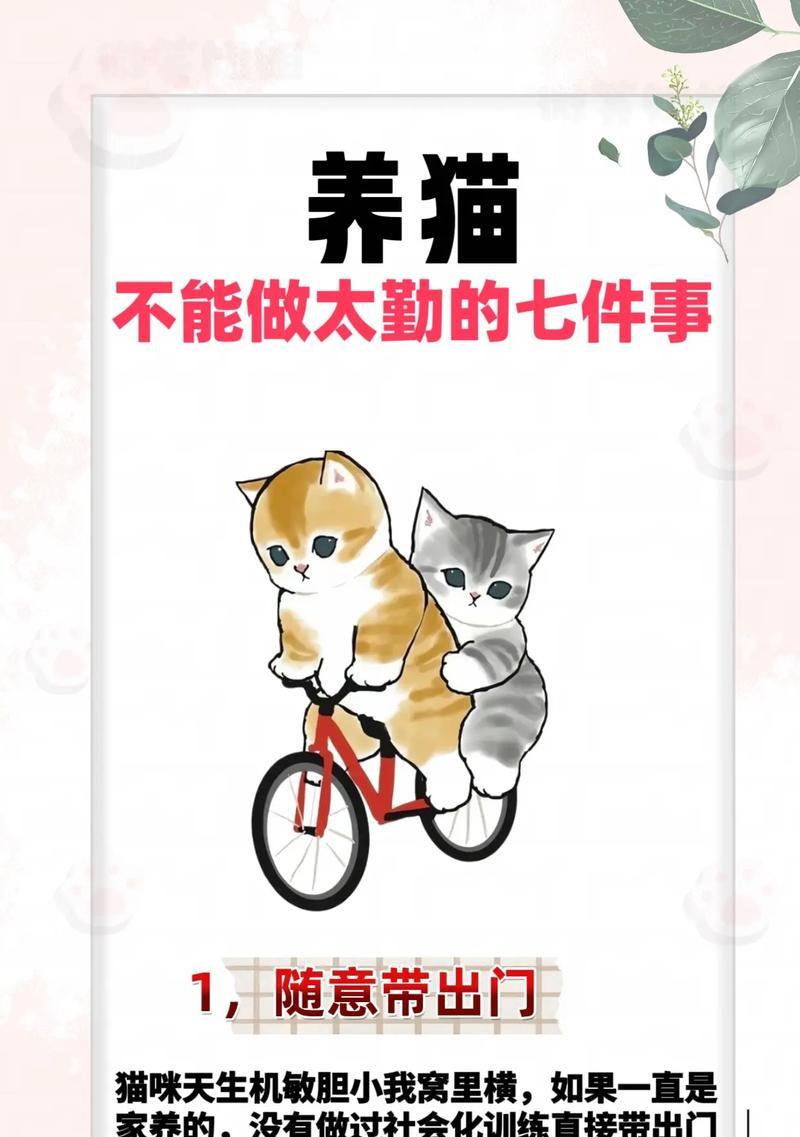 为什么不要碰猫的爪子？（探寻猫咪保护爪子的原因）