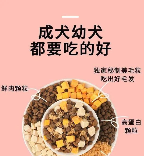 金毛幼犬2-6月的主要食粮（为你的金毛宝宝选择合适的狗粮）