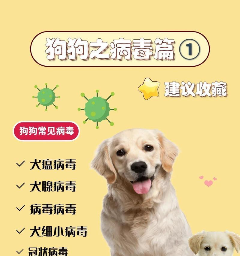 狗疫苗的重要性（为你的狗打疫苗是一种必要的预防措施）