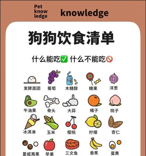 狗狗肠炎饮食指南（为你的宠物提供适合的食物）