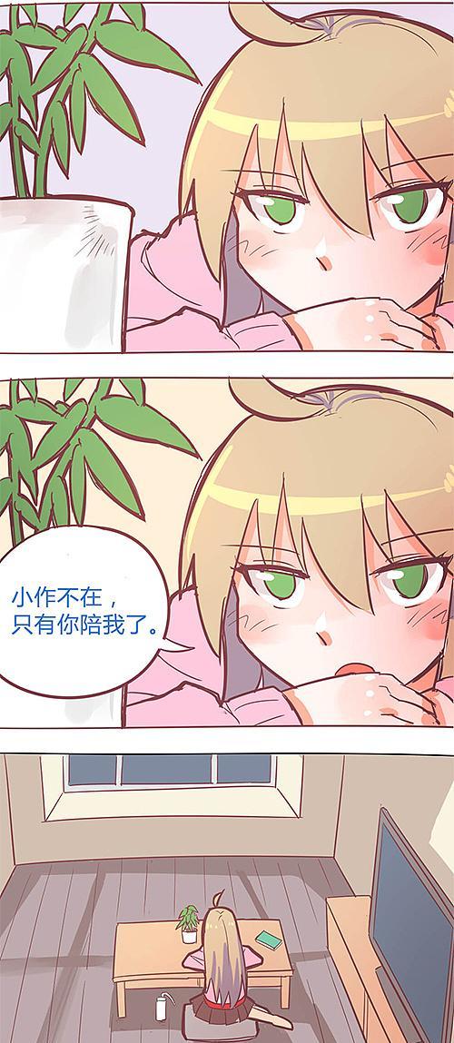 e宠产品直邮的好处及不适用直邮的产品（探索e宠产品直邮带来的便利，了解不适用直邮的产品类型）