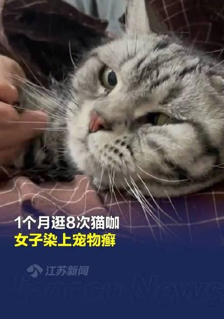 猫狗癣（探究猫狗癣的发病原因及有效防治方法）