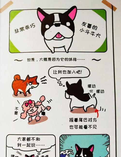 《以斗牛的尾巴明白了什么道理》（通过斗牛经历的领悟与体悟）