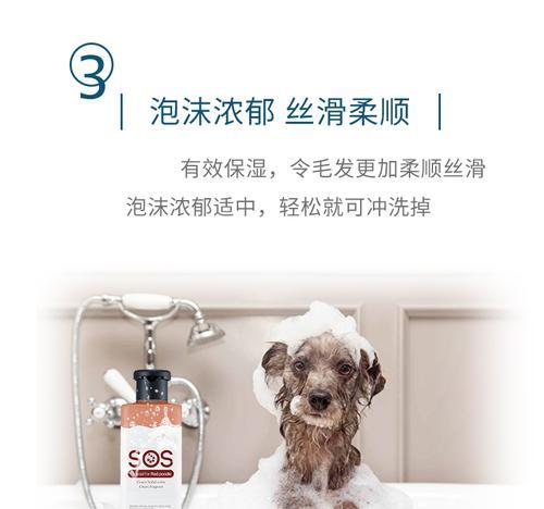 金毛狗狗皮肤过敏治疗方案大揭秘（金毛狗狗皮肤过敏的终极解决方法及药物推荐）