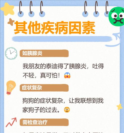 探究半岁大泰迪呕吐的原因（解读半岁大泰迪呕吐背后的问题及应对方法）