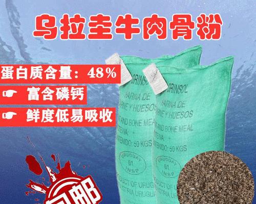 动物补钙的方法和推荐牌子（如何科学给动物补钙以及推荐的牌子）