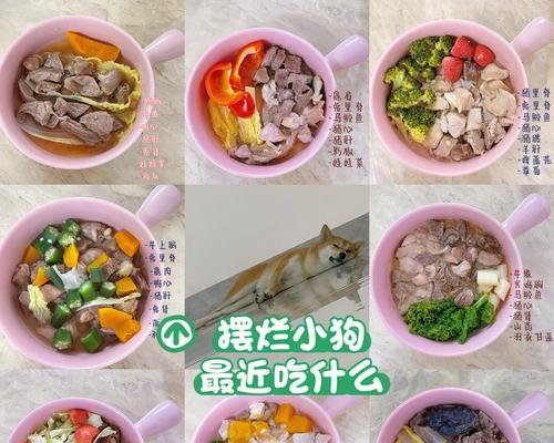 给狗吃什么便宜好买？（以经济实惠为主，为您的宠物提供健康饮食）