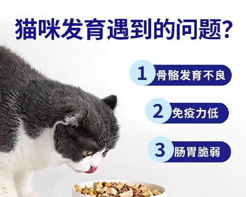选择合适的猫粮，让你的英短健康成长（了解英短猫的需求，选择适宜的猫粮）
