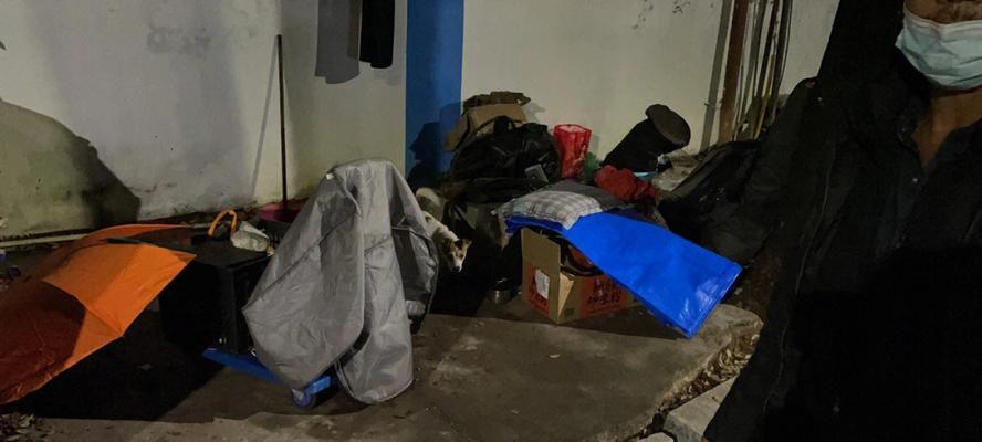 狗狗乐园（关爱无家可归的小生命，呵护天使的尾巴）