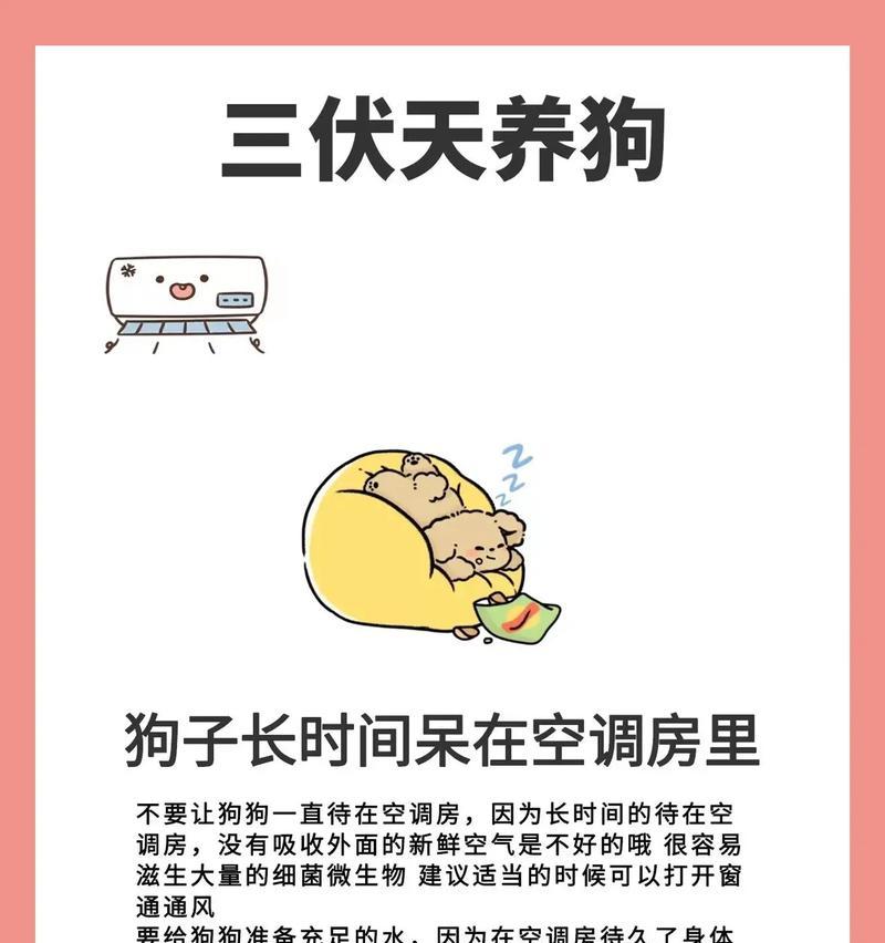 农村养狗须办手续，了解这些才能安心养狗（农村养狗需注意的手续，合法养狗、文明养狗、保障公共安全）