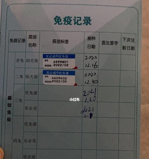 满月狗狗打疫苗价格一次多少钱？（了解满月狗狗疫苗价格的关键信息及注意事项）