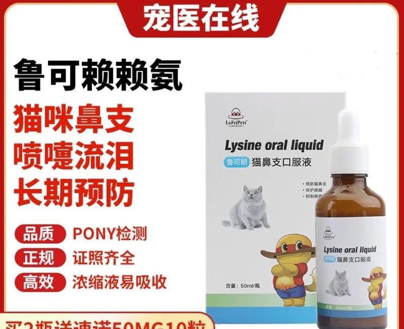 狗鼻干、打喷嚏、流鼻涕，应如何应对？（以药物治疗恢复狗狗健康）