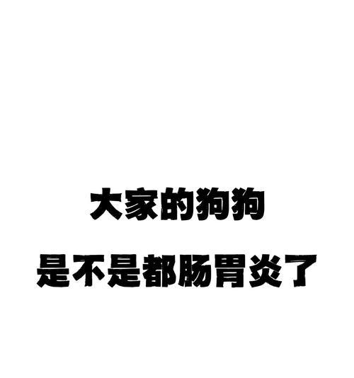 狗肠炎的症状及处理方法（了解狗肠炎常见症状，及时采取措施保护你的宠物健康）