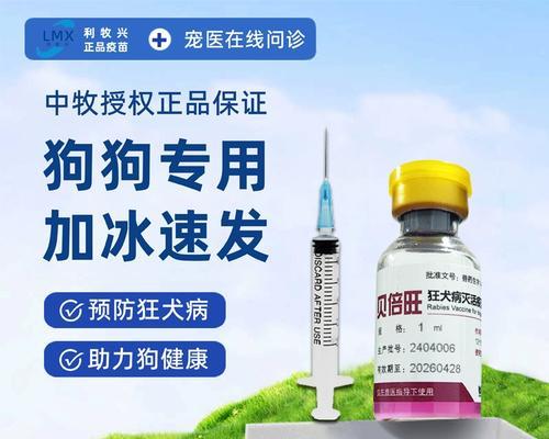 金毛狗疫苗接种指南（一岁金毛犬接种疫苗的重要性及注意事项）