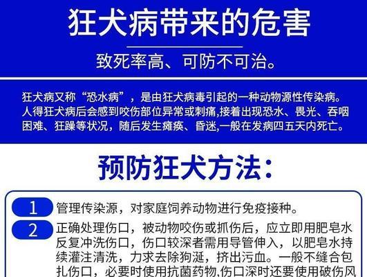 六联疫苗的使用注意事项（保护健康，预防疾病的关键）