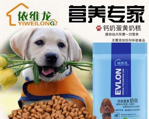 1个月幼犬的饮食指南（为你的小狗提供适合其年龄的营养和食物）