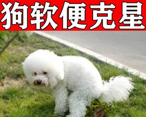呕吐拉肚子，如何选择适合的食物？（消化系统失调时，如何通过饮食来缓解？）