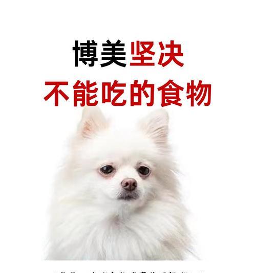宠物狗的饮食指南（为你的爱犬提供健康营养的食物选择）