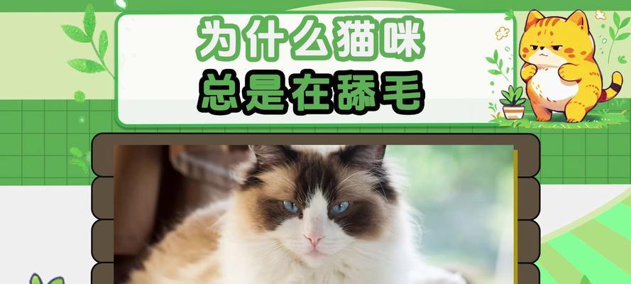 为什么猫喜欢舔JJ？（探寻猫咪舔自己私密部位的原因与意义）
