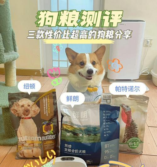 3岁狗狗拉稀，如何选择合适的药物治疗？（针对拉稀症状，有哪些药物可以选择？）