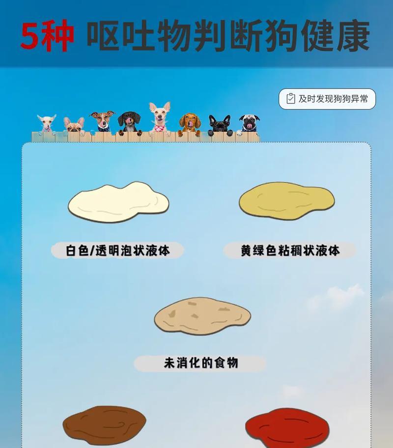 小狗每天早上呕吐的原因及处理方法（探究小狗早上呕吐的常见原因，提供相关处理方法与建议）