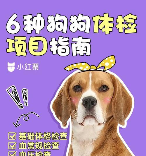 狗狗心脏健康检查的重要性（了解如何通过狗狗心脏检查保护你的爱宠）