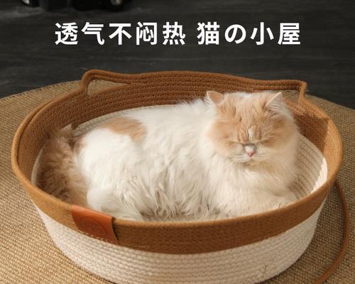 夏日里，如何选择适合小猫的猫窝？（以小猫夏天了用什么猫窝为主题）