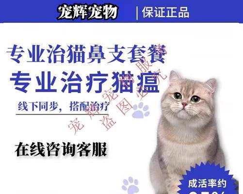 以金毛幼犬细小病毒为主题的治疗方法（药物治疗是关键，维持金毛幼犬的健康）
