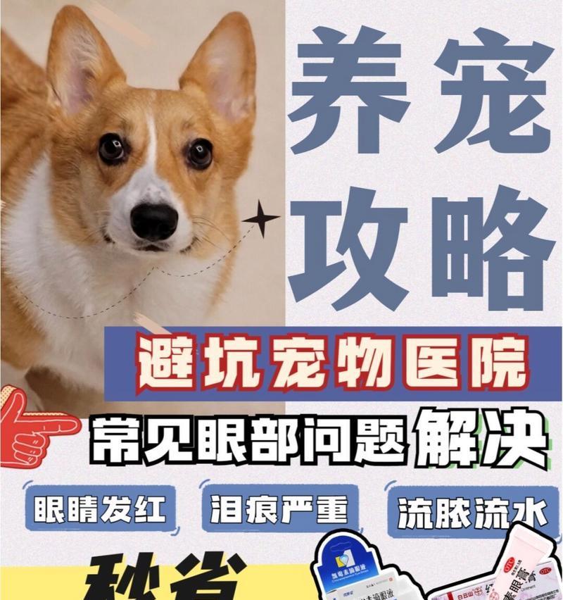 狗眼睛为什么会发红的原因（探索狗眼睛发红现象的科学解释）