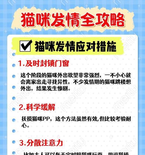 揭秘猫的尴尬期（猫咪的成长过程中，什么时候会面临尴尬期呢？）