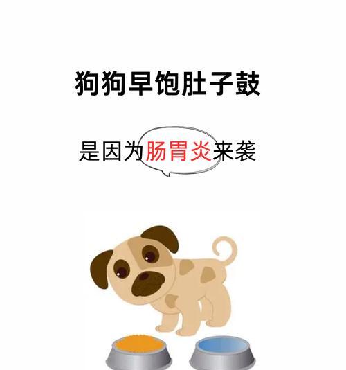狗狗便血的药物治疗指南（了解狗狗便血的原因及有效的药物治疗方法）