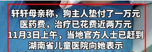 狗袭击小孩的原因及预防措施（保护孩子安全，与狗和谐相处）