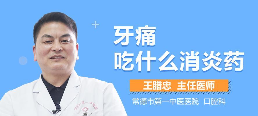 以边牧可以吃什么消炎药？（边牧消炎药选择指南）