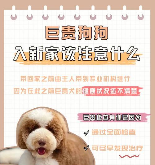 配完狗后的注意事项（为了宠物的健康和幸福，你需要知道这些）