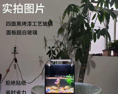 如何选择适合金鱼鱼缸的水草（养金鱼必备，水草选择详解）