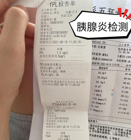 保护猫咪肝脏健康的解毒食物（用营养解毒保护猫咪免受肝炎侵害）