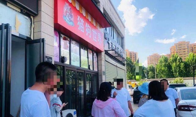 宠物店管理（探索宠物店管理的关键策略和技巧，让您的业务蓬勃发展）