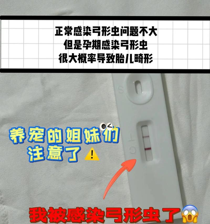 如何避免弓形虫感染？（掌握正确途径，保护自己和家人的健康）